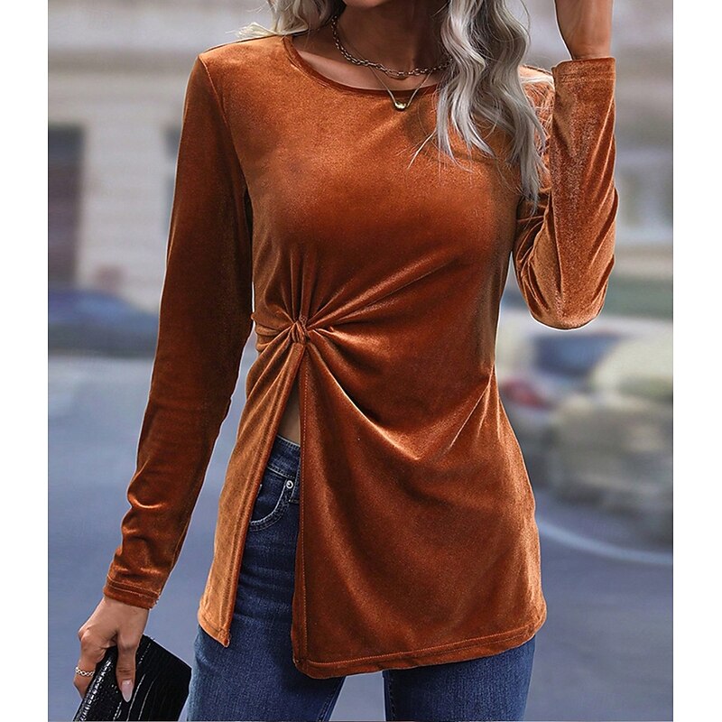 Women's Shirt Velvet Elegant Dressy Solid Color Casual Long Sleeve Bishop Sleeve Crew Neck Regular Tops Daily Tunic Brown Fall Winter4