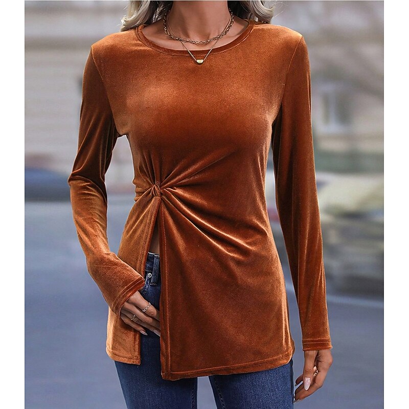 Women's Shirt Velvet Elegant Dressy Solid Color Casual Long Sleeve Bishop Sleeve Crew Neck Regular Tops Daily Tunic Brown Fall Winter3