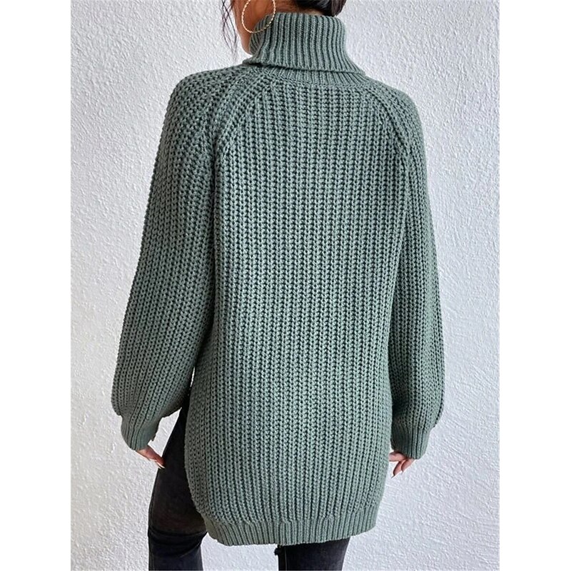 Women's Sweater Pullover Sweater Jumper Casual Soft Pure Color Chunky Turtleneck Knitted Long Sleeve Regular Tops Knit Outdoor Daily Weekend Light Green Wine Fall Winter2