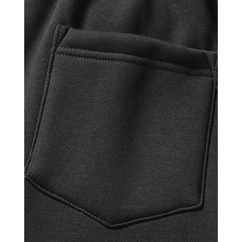 Men's Sherpa Fleece Pants Winter Pants Trousers Straight Leg Sweatpants Pocket Drawstring Elastic Waist Plain Comfort Warm Sports Outdoor Daily Fashion Casual Black Gray Micro-elastic2