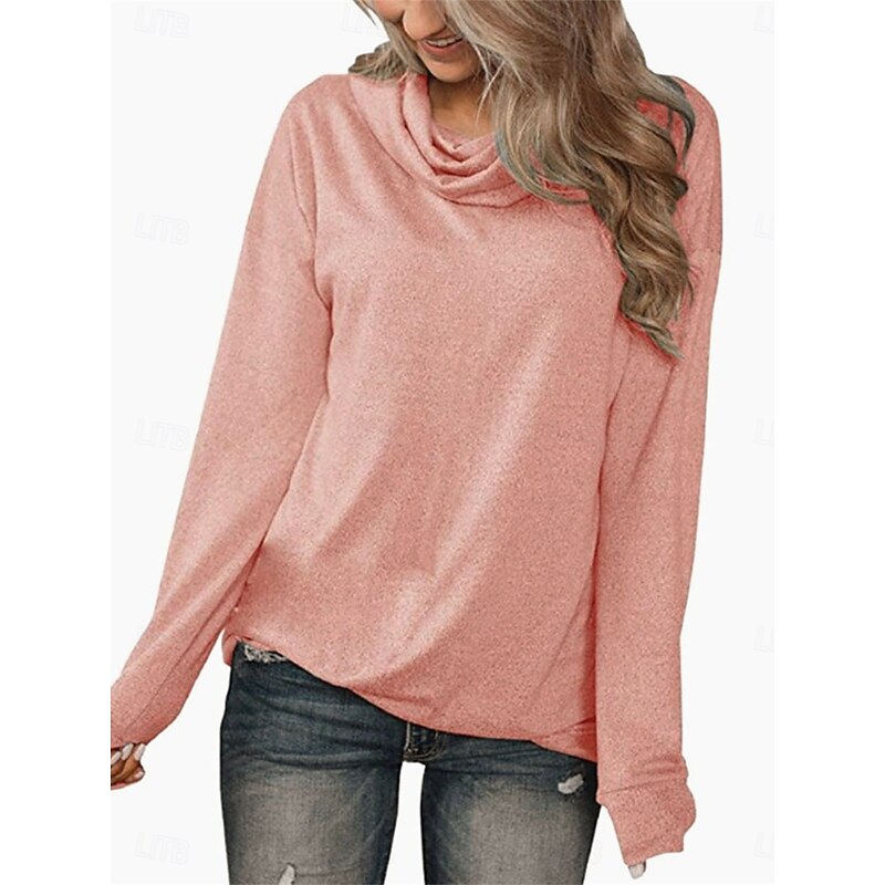 Women's Sweatshirt Casual Plain Street Dailywear Cowl Neck Long Sleeve Pink Gray Fall Winter4