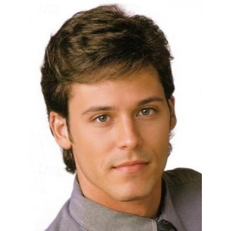 Mens Short Brown Wig for Men Natural Layered Fluffy Wig Daily Halloween Synthetic Realistic Hair Male Guys Wigs