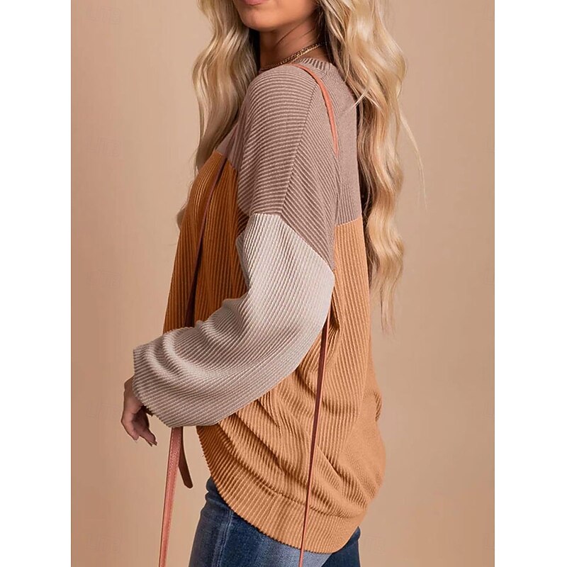Women's Sweatshirt Casual Color Block Street Dailywear Crew Neck Patchwork Long Sleeve Pink Blue Khaki Fall Winter4
