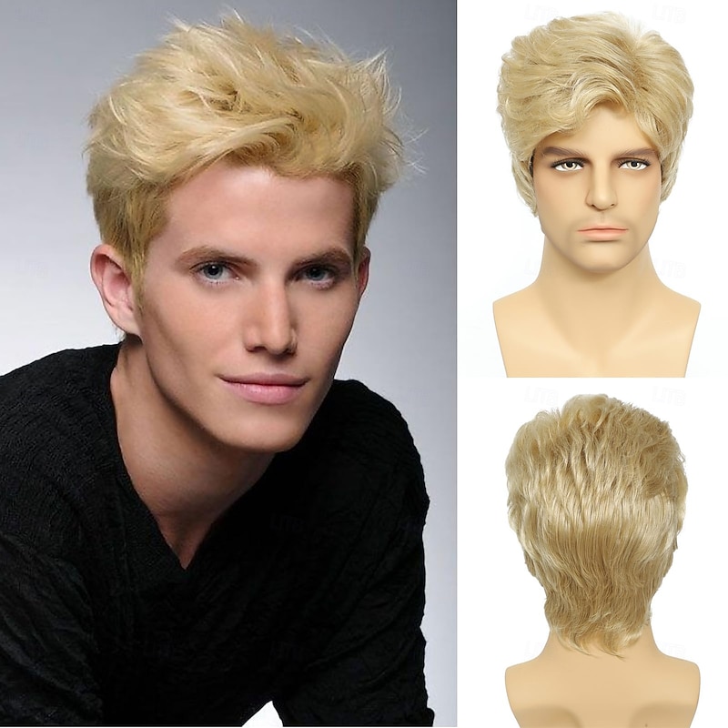 Mens Wig Short Wig Men Natural Layered Fluffy Synthetic Heat Resistant Halloween Cosplay Wig