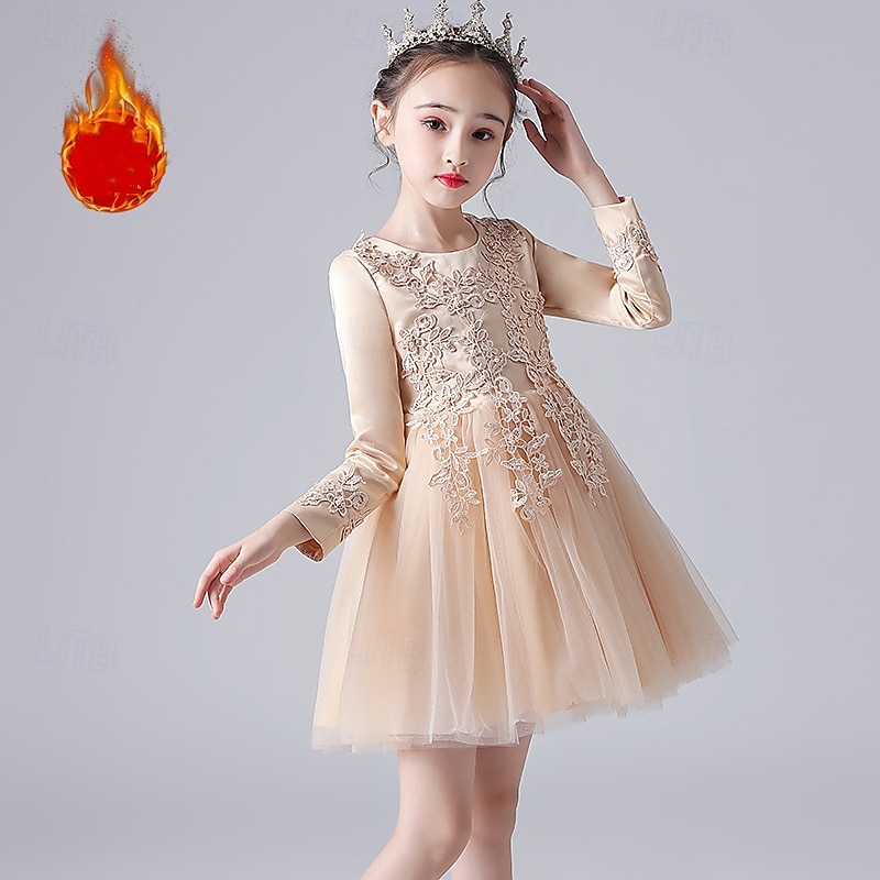 Flower Girl Dress Kid's Girls' Princess Dress Performance Wedding Party Elegant Beautiful Mesh Solid Color Long Sleeve Crew Neck White Champagne 4 years+