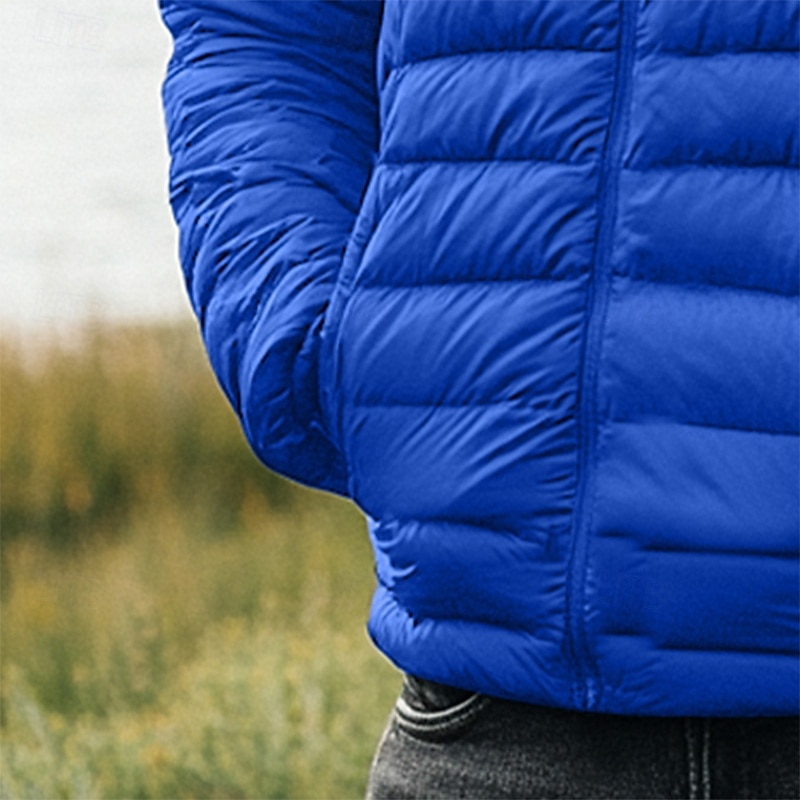 Men's Winter Coat Down Jacket Puffer Jacket Zipper Pocket Outdoor Home Work Regular Classic Thermal Warm Windproof Breathable Winter Autumn / Fall Solid Color Wine Matte Black Royal Blue Blue Puffer3