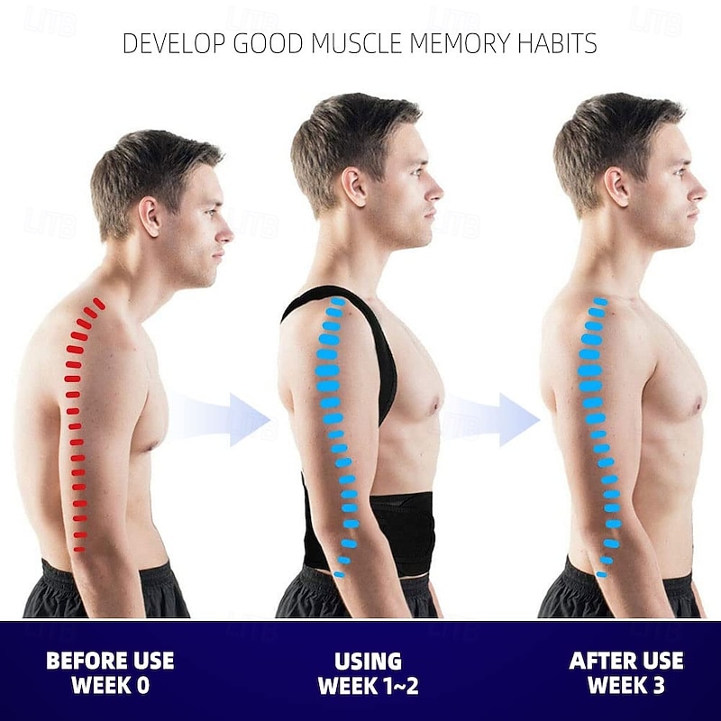 Upgraded Posture Corrector Back Brace for Men and Women, New Version Lumbar Support for Posture Improving and Pain Relief, Full Back Support for Neck, Shoulder, Waist Pain3