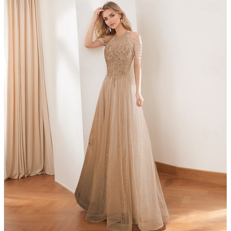 A-Line Prom Dresses Vintage Dress Formal Prom Floor Length Sleeveless High Neck Tulle with Glitter Tassel