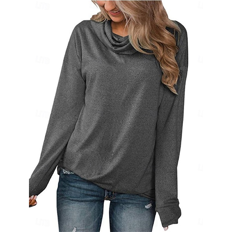 Women's Sweatshirt Casual Plain Street Dailywear Cowl Neck Long Sleeve Pink Gray Fall Winter2