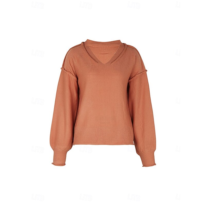 Women's Sweater Casual Soft Pure Color Ribbed V Neck Knitted Long Sleeve Regular Tops Knit Outdoor Daily Weekend Red Brown Fall Winter4