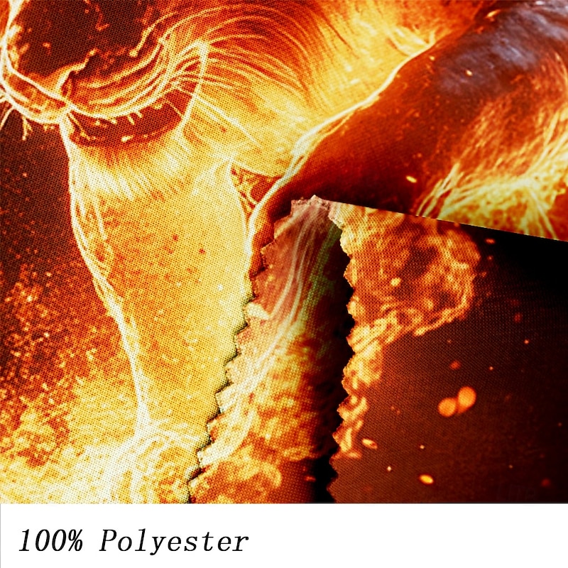 Men's Lion Flame Hoodies Sweatshirt Fashion Cool Long Sleeve Crew Neck Party Holiday Streetwear Red Drawstring Fall Winter Designer3