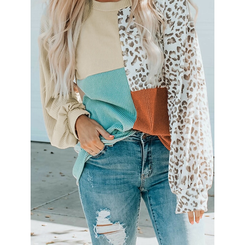 Women's Dressy Tops Long Sleeve Crew Neck Blue Khaki Beige Fall Winter2