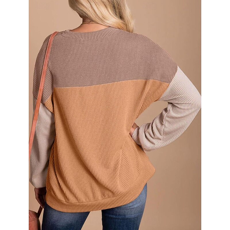 Women's Sweatshirt Casual Color Block Street Dailywear Crew Neck Patchwork Long Sleeve Pink Blue Khaki Fall Winter3