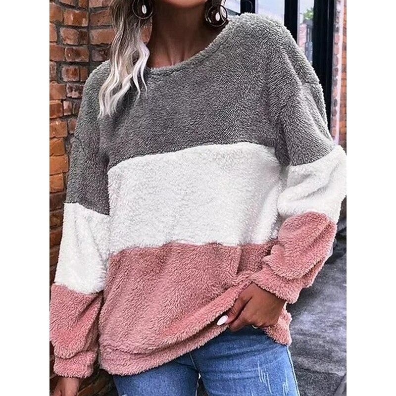 Women's Sweatshirt Casual Color Block Street Dailywear Crew Neck Patchwork Long Sleeve Pink Fall Winter