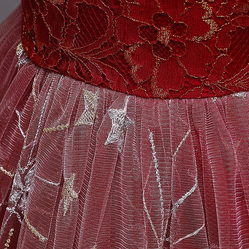 Kids Girls' Party Dress Star Sleeveless Performance Christmas Birthday Mesh Beautiful Sweet Polyester Maxi Party Dress Swing Dress A Line Dress Summer 4-12 Years Pink Red Blue3