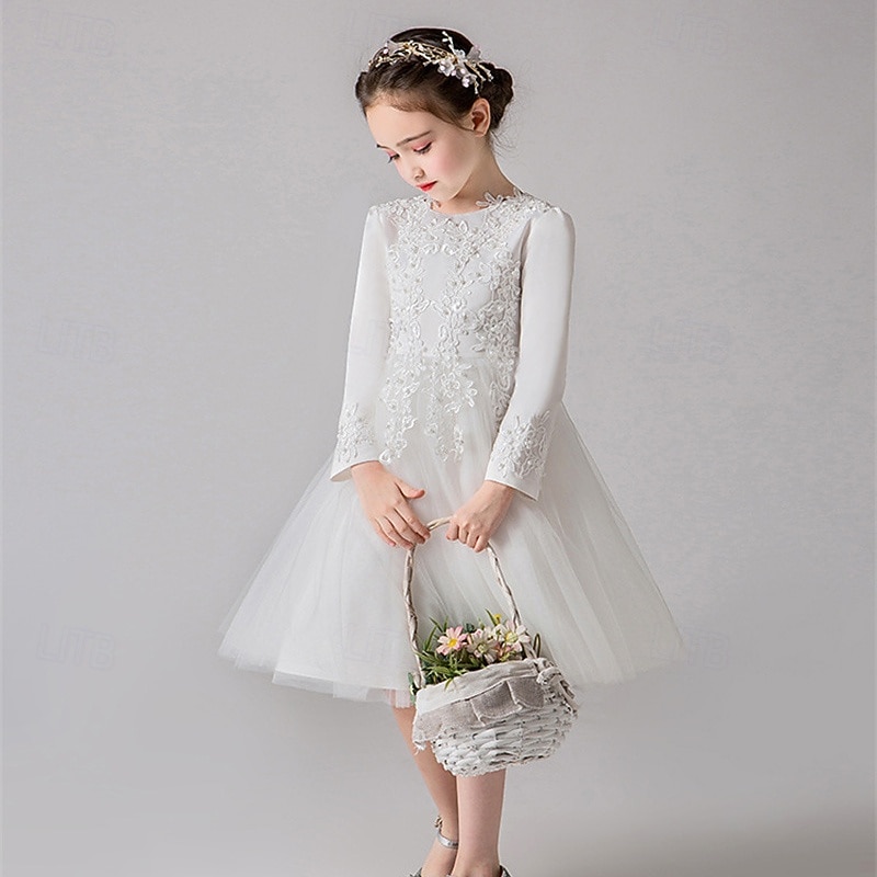 Flower Girl Dress Kid's Girls' Princess Dress Performance Wedding Party Elegant Beautiful Mesh Solid Color Long Sleeve Crew Neck White Champagne 4 years+4