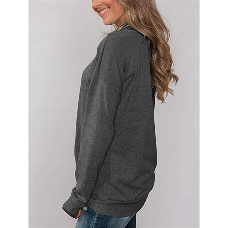 Women's Sweatshirt Casual Plain Street Dailywear Cowl Neck Long Sleeve Pink Gray Fall Winter3