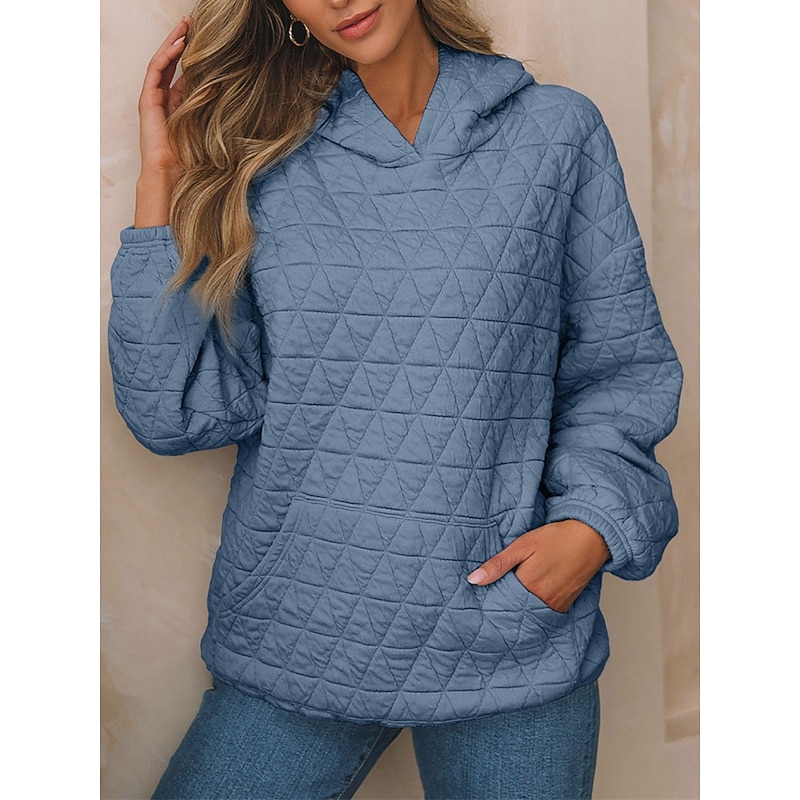 Women's Hoodie Sweatshirt Casual Plain Street Dailywear Hoodie Pocket Long Sleeve White Blue Gray Fall Winter