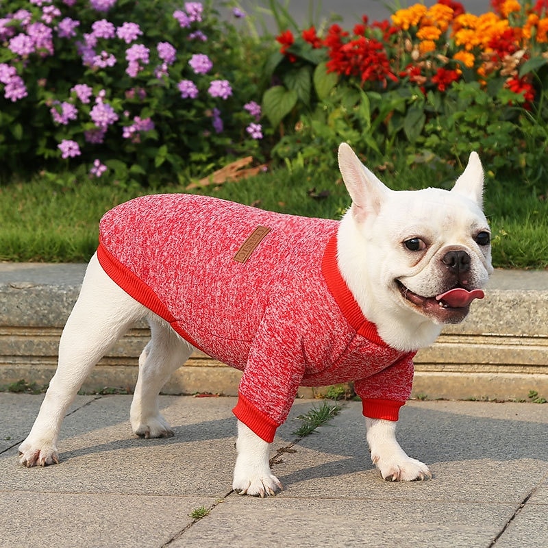 Dog Cat Sweatshirt Jumpsuit Leisure Casual / Sporty Warm Soft Washable Fashion Comfortable New Year Thanksgiving International Beer Festival Outdoor Vacation New Year Dailywear Sports Outdoor Dog