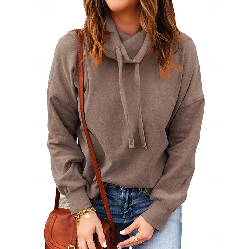 Women's Pullover Hoodie Sweatshirt Plain Sports Casual Long Sleeve Hooded Regular Tops Patchwork Black Red Brown Spring Fall Winter3