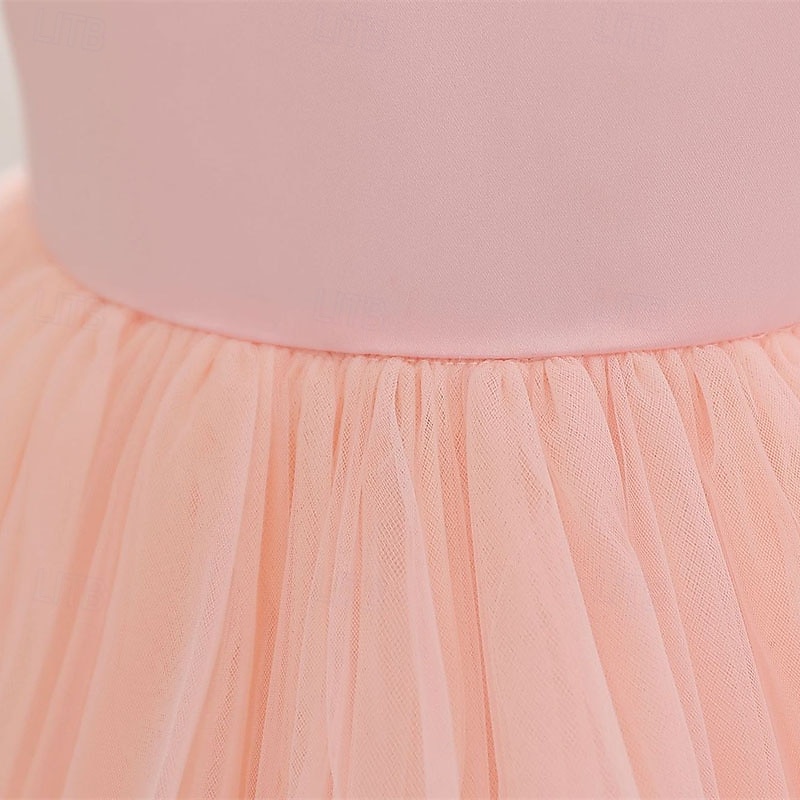 Flower Girl Dress Kid's Girls' Princess Dress Performance Wedding Party Elegant Beautiful Mesh Solid Color Sleeveless Crew Neck Blue Rose Red 4 years+4