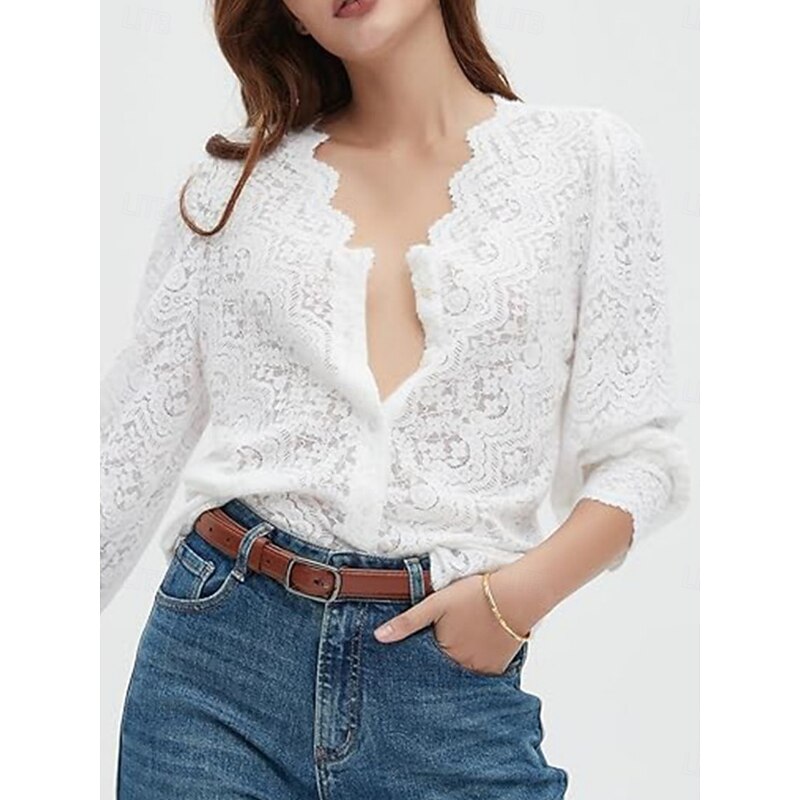 Women's White Elegant Lace Tops Eyelet Blouse Casual Solid Color Regular Tops Long Sleeve V Neck Lace Patchwork Regular Fit Daily Romantic Petite Tops Summer Holiday Wear Black White Beige