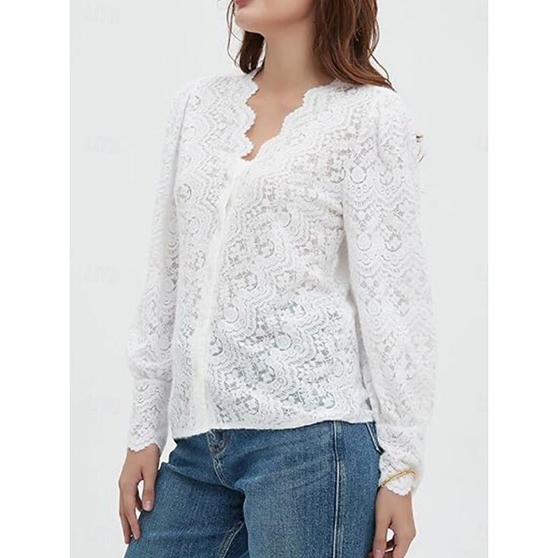 Women's White Elegant Lace Tops Eyelet Blouse Casual Solid Color Regular Tops Long Sleeve V Neck Lace Patchwork Regular Fit Daily Romantic Petite Tops Summer Holiday Wear Black White Beige4