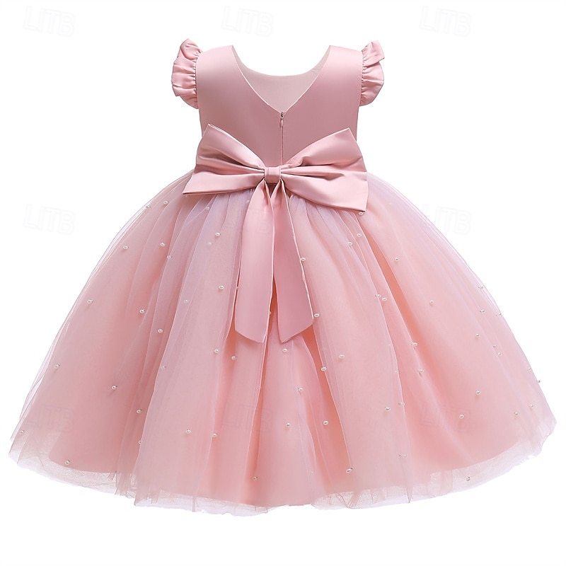 Flower Girl Dress Kid's Girls' Princess Dress Performance Wedding Party Elegant Beautiful Mesh Solid Color Sleeveless Crew Neck Light Pink Grey 4 years+4