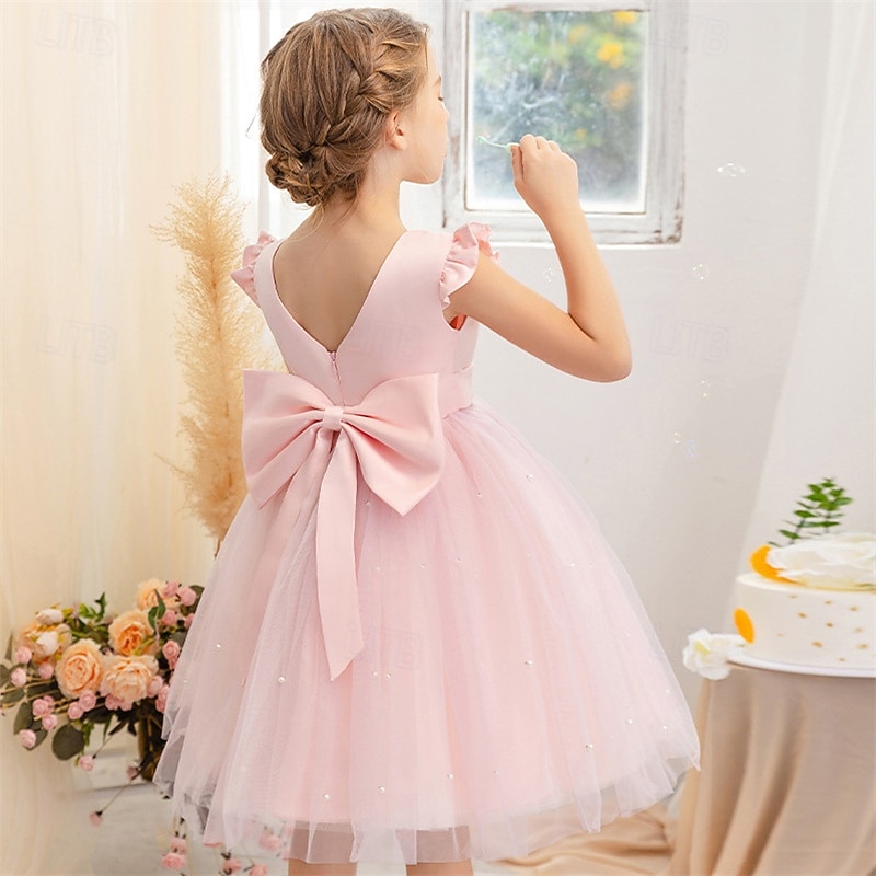 Flower Girl Dress Kid's Girls' Princess Dress Performance Wedding Party Elegant Beautiful Mesh Solid Color Sleeveless Crew Neck Light Pink Grey 4 years+