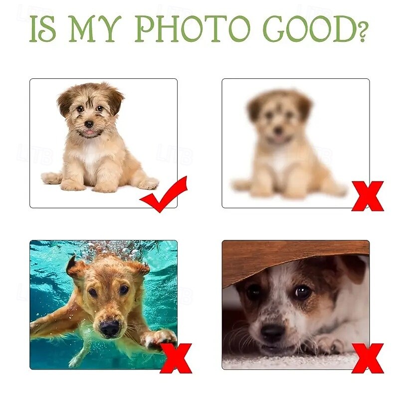 Customized Pillow Graduation Photo Memorial Pillow Soft,Cuddly, Duplex Printed, Hand Washable, Zipper Closed, Cotton Filled, All-Season Decorative Throw Pillow for Best Graduation Gifts4