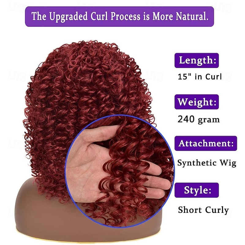 Afro Curly Wigs for Women - Kinky Afro Curly Wig with Bangs  Synthetic Cosplay Wigs4