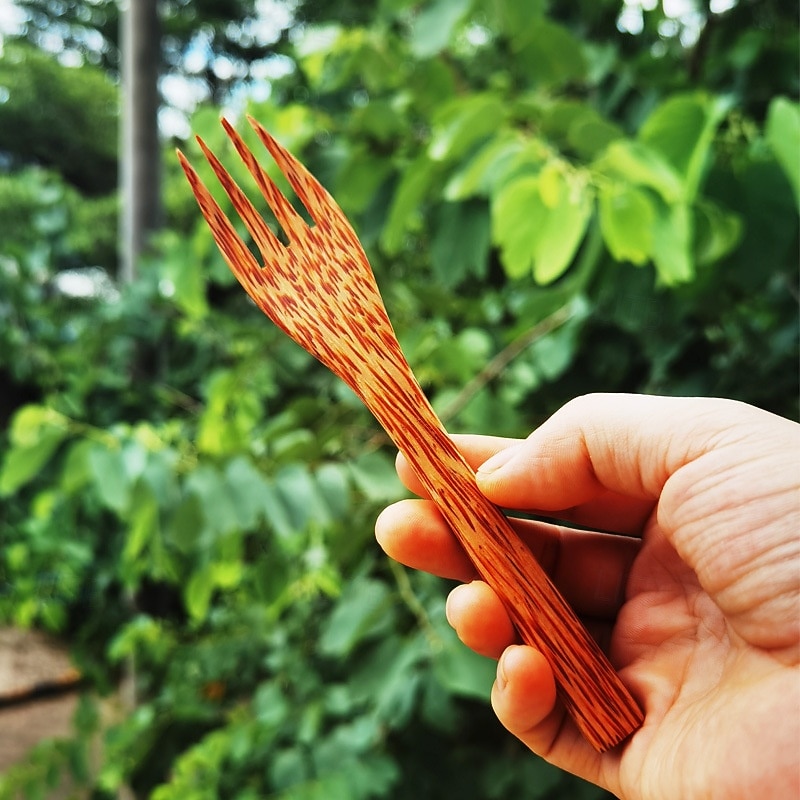 Coconut Shell Bowls Polished Wooden Bowls Natural Smoothie Acai Bowls Salad Bowls for Vegan Gifts Kitchen Decor3