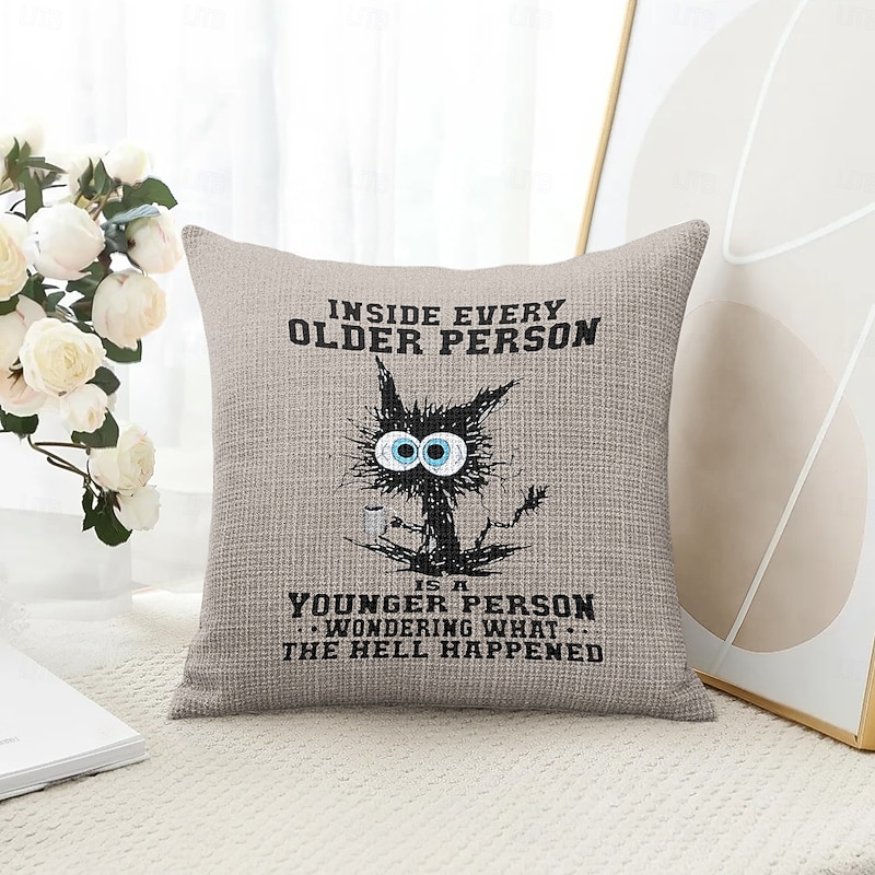 Funny Cat Decorative Toss Pillows Cover 1PC Soft Square Couch Cushion Case Pillowcase for Bedroom Livingroom Sofa Chair4