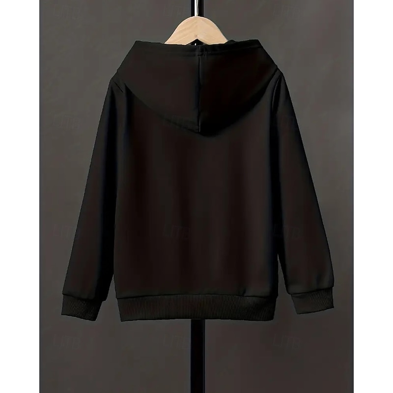 Boys 3D Graphic Hoodie Long Sleeve Fall Winter Fashion Basic Kids 4-12 Years Hooded Outdoor Casual Daily Regular Fit2