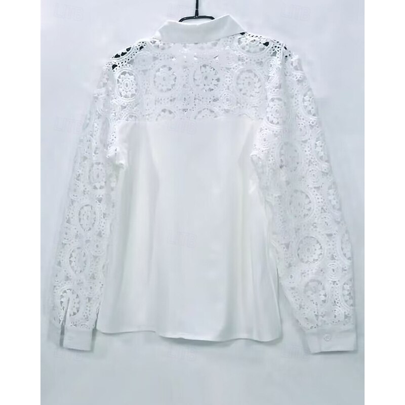 Women's Blouse Eyelet top Lace Tops Plain Daily Stylish Basic Long Sleeve Shirt Collar Regular Tops Work Daily Holiday Hollow Out Buttons White Spring Fall2