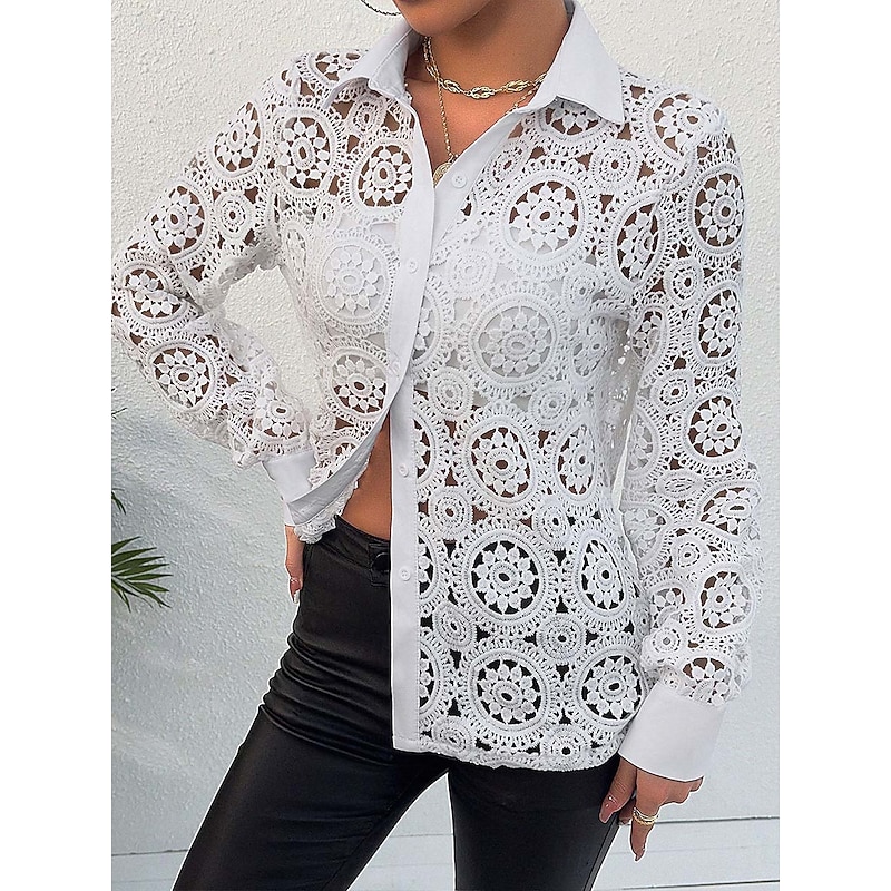 Women's Lace Splicing Top Elegant Long Sleeve V Neck Regular Tops White Summer Spring2