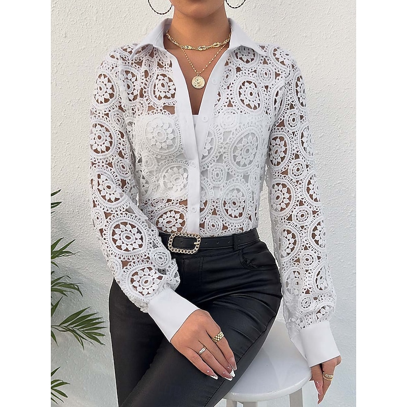 Women's Lace Splicing Top Elegant Long Sleeve V Neck Regular Tops White Summer Spring
