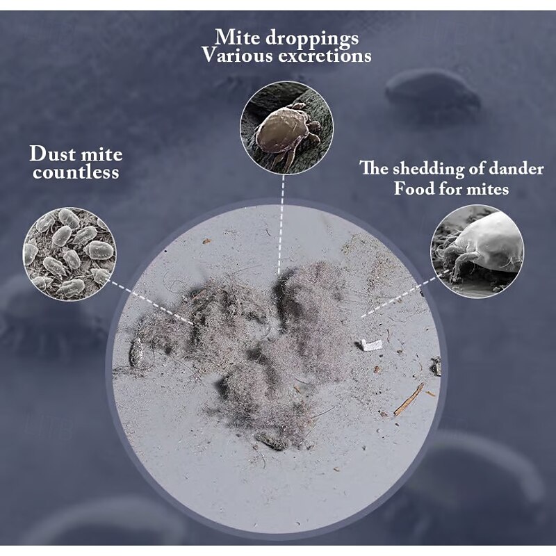 Mattress Vacuum Cleaner, Handheld UV Bed Vacuum Cleaner, 12Kpa Strong Suction Power Can Efficiently Clean Mattresses, Pillows, Sofas and Carpets4