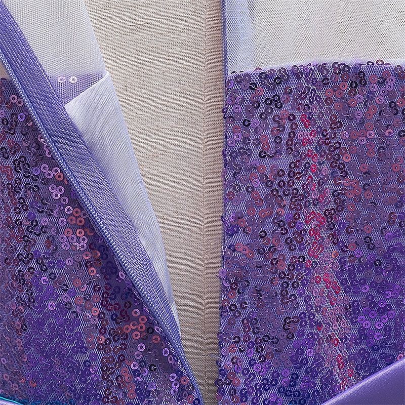 Kids Girls' Dress Color Block Sleeveless Performance Outdoor Mesh Adorable Costume Polyester Maxi Casual Dress A Line Dress Tulle Dress Summer Spring 4 years+ Blue Purple4