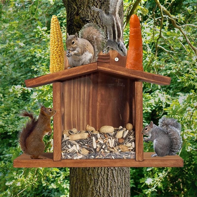 Wood Squirrel Feeder,Turdy Squirrel Feeding House,Wooden Squirrel Picnic Table Feeder,No Assembly Required,Stable Squirrels Stool Bar,Durable Box Easy to Fill with Removable Front Panel