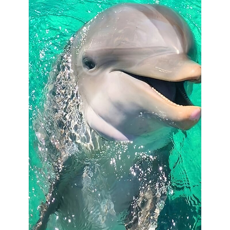 Women's T Shirt Ocean Casual Short Sleeve Round Neck Regular Tops Daily Print Green Summer2