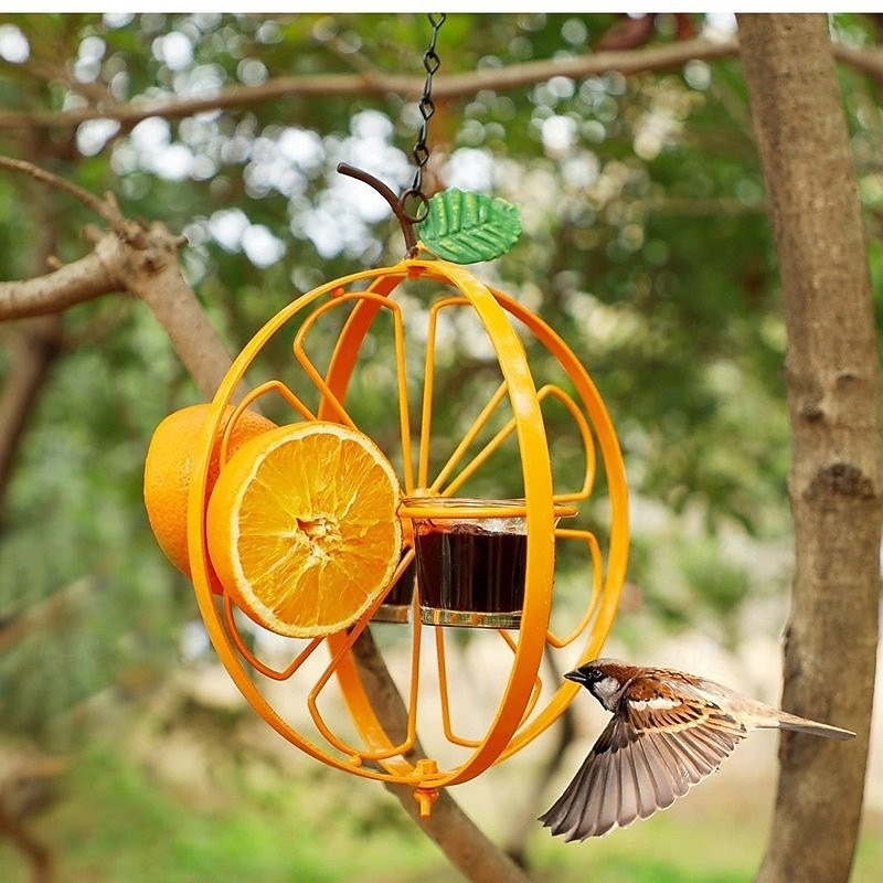 Oriole Bird Feeder for Outdoors Jelly and Oranges, Orange Fruit Oriole Jelly Bird Feeder, Outdoor Garden Metal Hanging Drinking Grape Jelly Container Hummingbird Feeder - Main Image