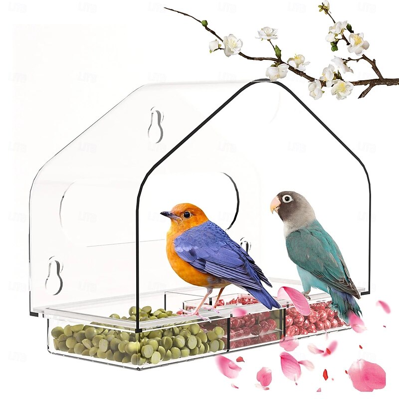 Transparent Acrylic Bird Feeder - Wall-Mounted, Suction Cup Design (Clear) - Easy to Clean & Weatherproof - Ideal for Elderly & Kids2