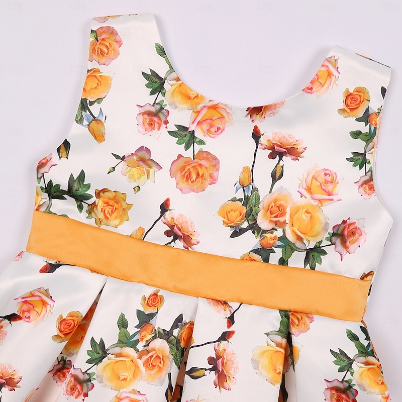 Kids Girls' Party Dress Graphic Short Sleeve Special Occasion Princess Polyester Party Dress Summer Spring kids Yellow3