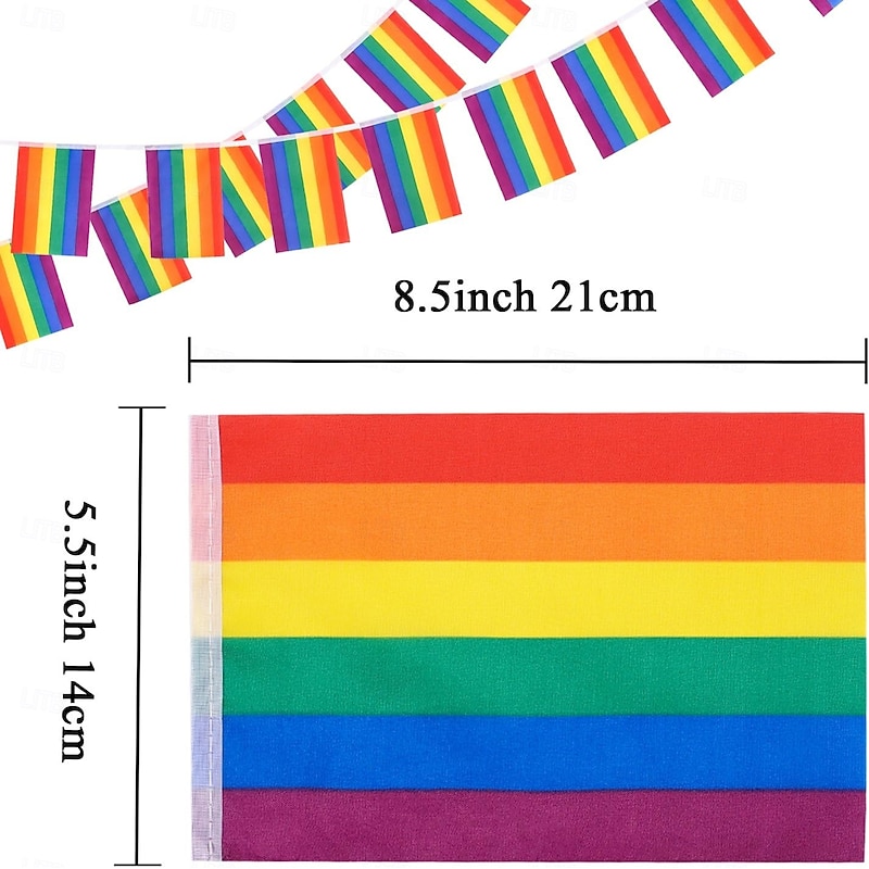June Pride Month Pride Month LGBT LGBTQ String Flags Gay Pride Banner, Rainbow String Bunting Indoor/Outdoor for Happy Pride Celebration Decoration2