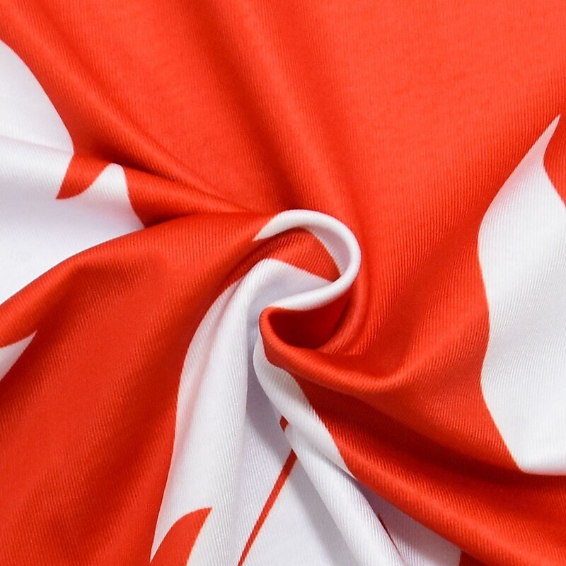 Lion Dress Movie Cosplay Costume Carnival Costume Dress Up Movie Cosplay for Girls' Kid's Halloween Carnival World Book Day Performance Party3