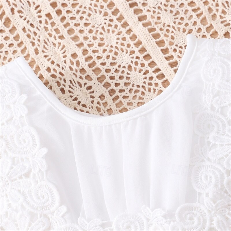 Flower Girl Dress Kid's Girls' Lace Dress Princess Dress Performance Wedding Party Elegant Beautiful Lace Solid Color Sleeveless Crew Neck White 4 years+4