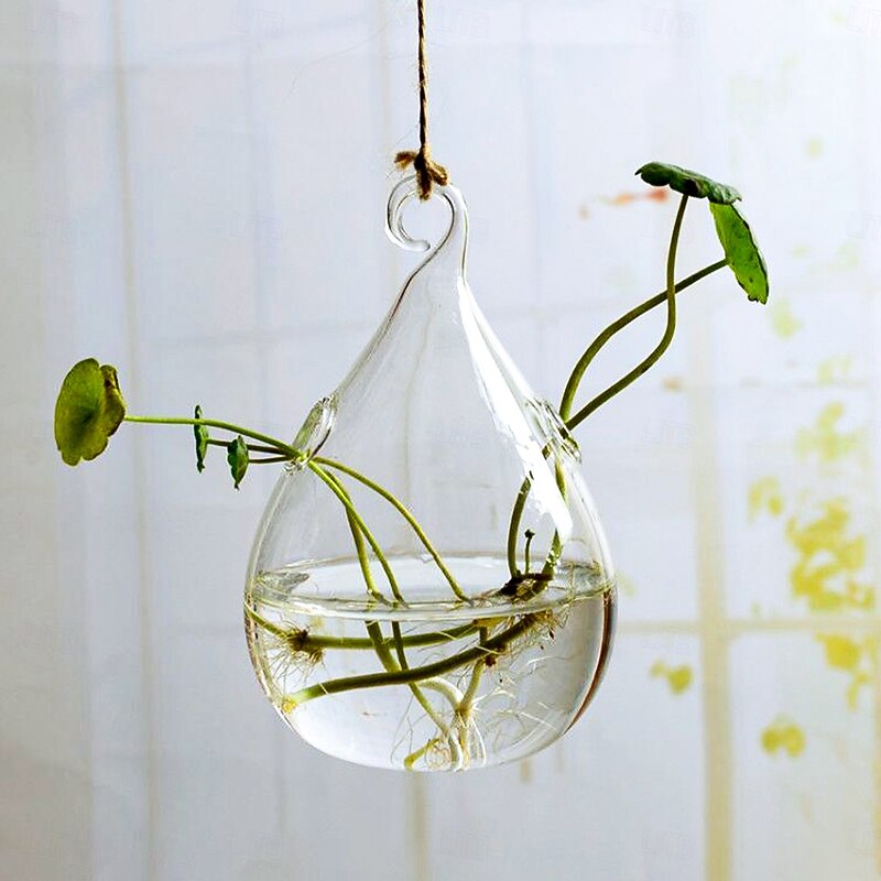 Teardrop Hanging Glass Vase – Transparent Hydroponic Planter for Indoor Greenery, Succulents & Pothos, Decorative Glass Terrarium for Garden, Balcony, Porch & Home Decor3