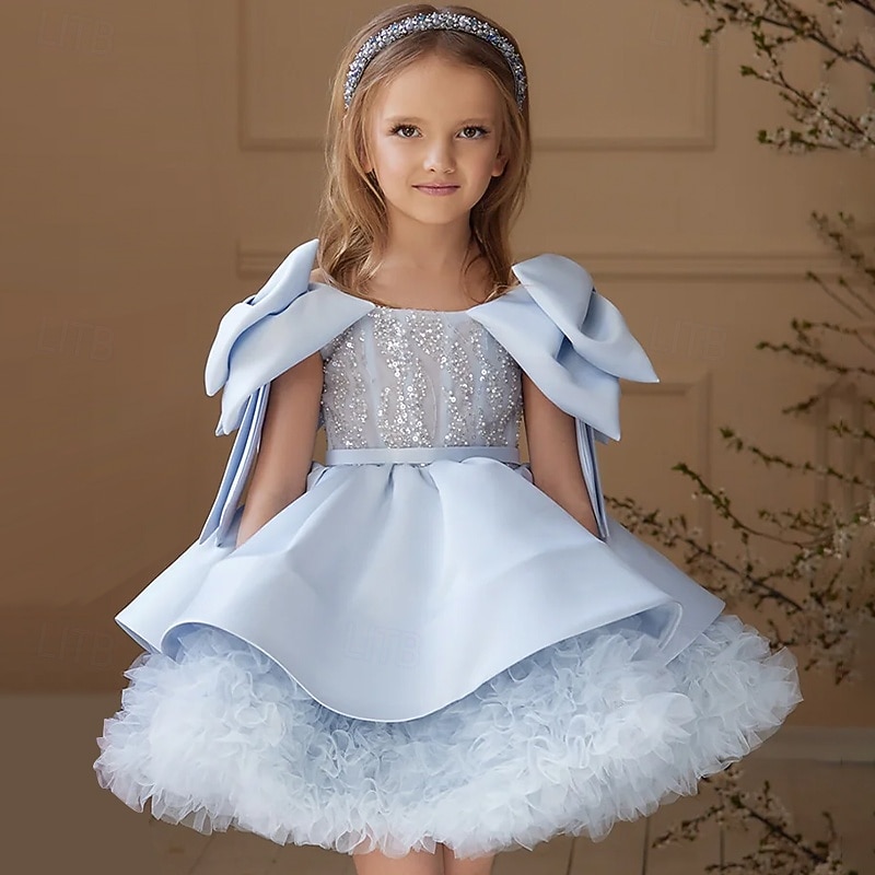 Flower Girl Dress Girls' Evening Gown Formal Dress Princess Dress Wedding Attire Wedding Party Princess Sweet Christmas Carnival Ruched Solid Color Strapless Crew Neck Light Pink Sky Blue 4 years+2