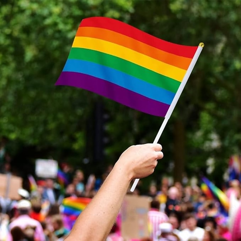 June Pride Month Rainbow Pride Flag Decorations Hand Held Small LGBTQ Gay Lesbian Bisexual Pansexual Transgender Happy Pride
